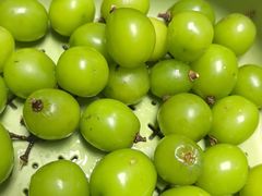 -鲜力达果品批发直销(无锡保利香槟店)