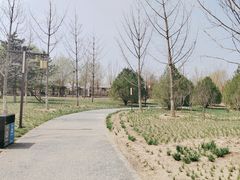 -张家湾公园