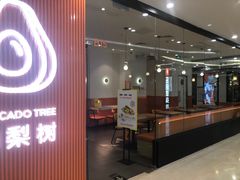 -油梨树 AVOCADO TREE(亮马桥店)
