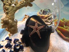 -上海海洋水族馆