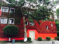 IMG_6218_副本-深圳东部华侨城茵特拉根酒店
