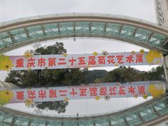 -南山植物园