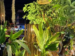 -Jungle Kitchen