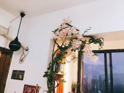 点击看大图 -热发型