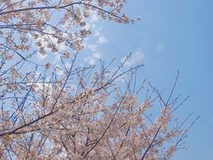 -上海外国语大学(虹口校区)