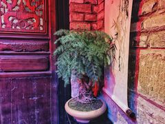 -鱼桥巷·美学川菜