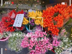 -循礼门鲜花花市(武汉循礼门店)