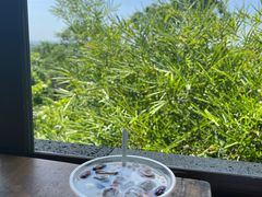 -海口火山口国家地质公园