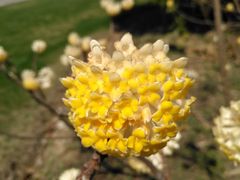 -无锡市市民中心