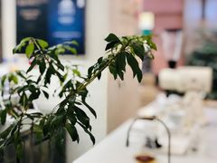 -1/4 ONE QUARTER COFFEE LAB(朝阳大悦城店)