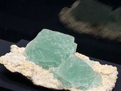 -山东博物馆