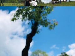 -硗碛藏寨·神木垒景区