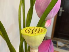 -王记姚家味·地道苏帮菜(凤凰街店)