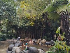 -张家港金凤凰度假村温泉