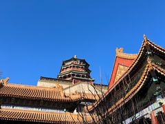 -颐和园