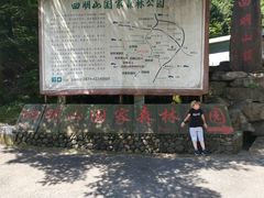 -四明山国家森林公园