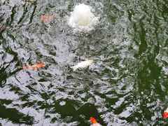 -海南文笔峰盘古文化旅游区