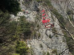 -秦岭天竺山生态文化旅游景区