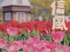-大宁公园