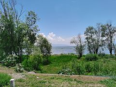 -洱海月湿地公园