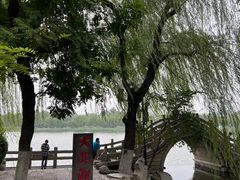 -济南大明湖景区