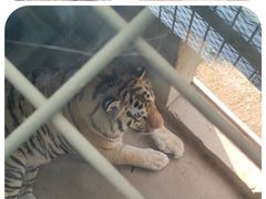 -中华郡文化旅游景区