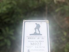 -浪茄湾