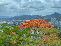 -鹿回头风景区