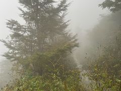 -北仑森林植物园