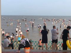 -刘家湾赶海园