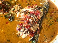 千岛湖野生有机鱼-丰乐餐厅·始于1999·本地老字号