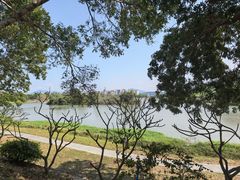 -风云岭森林公园