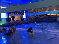 -水王国温泉水世界