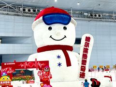 -哈尔滨热雪奇迹