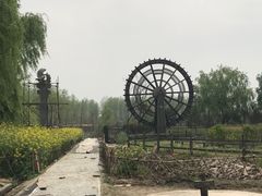 -溱湖国家湿地公园