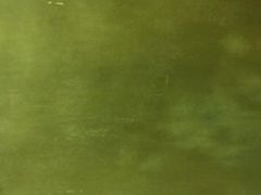 -会江钓鱼钓虾烧烤场