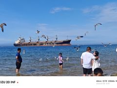 -养马岛旅游度假区