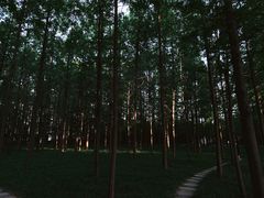 -河南省黄河迎宾馆