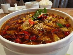 -枣子树·素食餐厅(普陀山店)