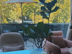 -简象咖啡CAFE ELE JANE(满陇桂雨店)
