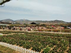 -盈香心动乐园