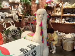 -番茄口袋(上海普陀区环球港店)