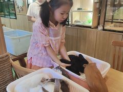 -藦茜花园宠物主题亲子互动体验馆(国顺东路店)