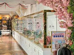 -糯米喵星人总部直营旗舰店·猫舍·幼猫出售