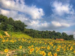 -翠姐姐农家大院·16年土菜馆(滨康路店)
