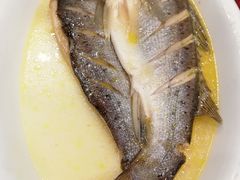-陈记菜馆·非遗淮扬菜(东关街教场店)