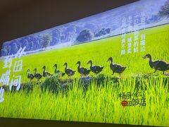 -杨厨的田园饭店(长城路店)