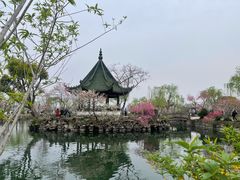-无锡蠡湖国家湿地公园-蠡园