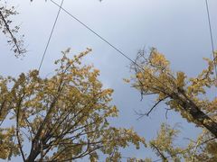 -百林公园-两江幸福广场