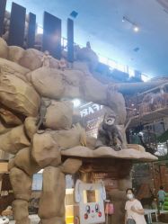 -卡通尼·Safari非洲探索乐园·生日会(金桥国际商业广场店)